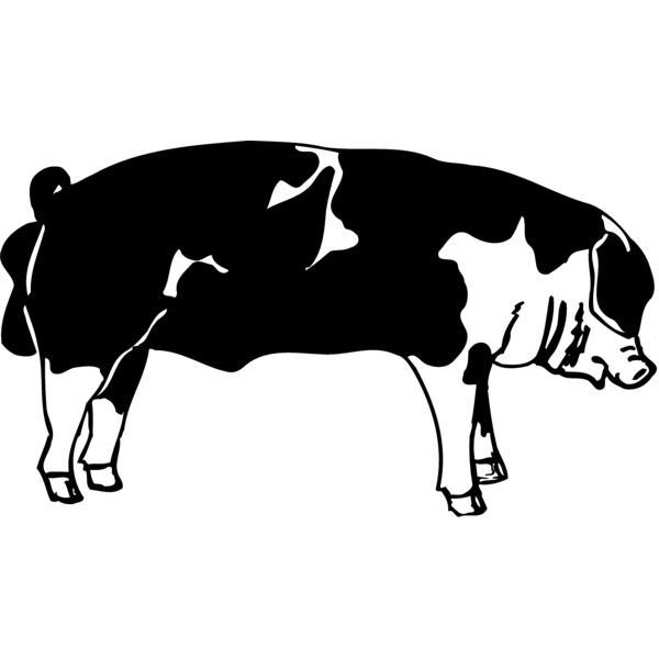 HOG0003 Thumbnail